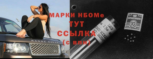 молекула духа Козельск